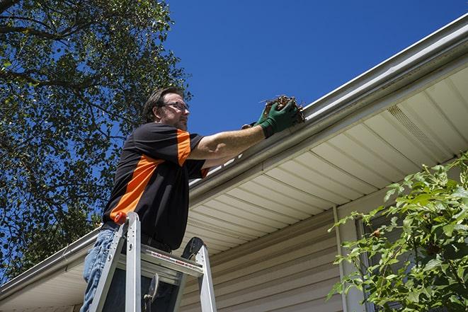 a repairman inspecting a clogged gutter for debris in Allston